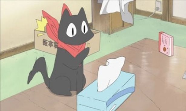 ネコの阪本さんはしゃべる首輪のおかげで人間の言葉が話せる