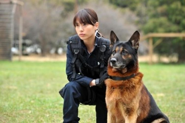 『DOG×POLICE』若きNo.1ハンドラー役に戸田恵梨香！「使命感を感じました」