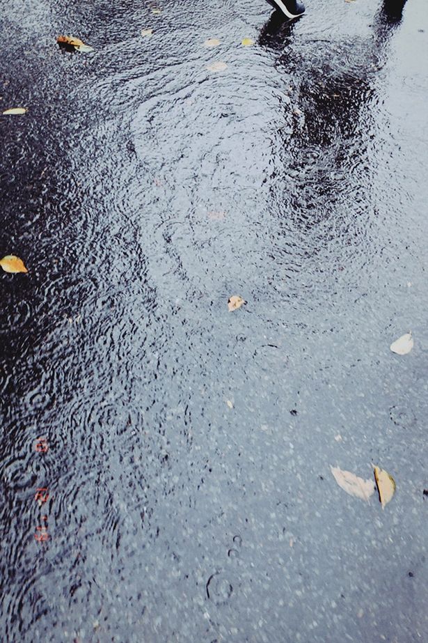 雨の日は外出しないのが信条！