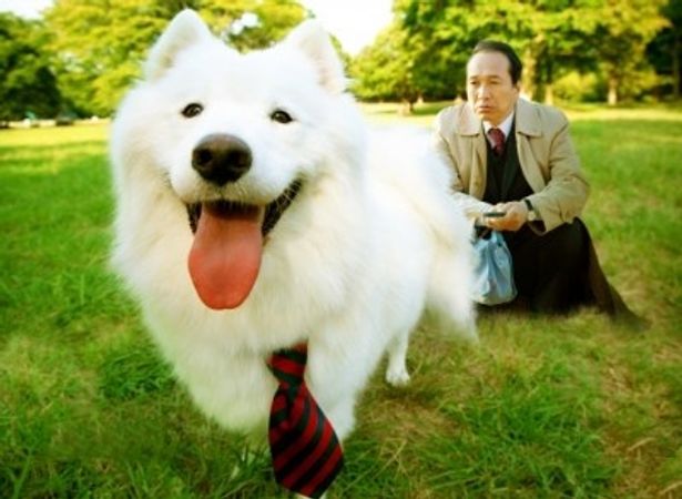 【写真】『犬飼さんちの犬』は6月25日(土)より全国順次公開