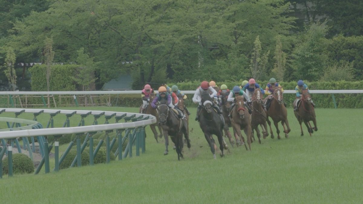 流行に ロマン競馬で幸せになろう chavinda.gob.mx