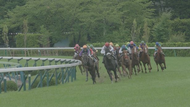 引退馬を待つ厳しい現実とは…