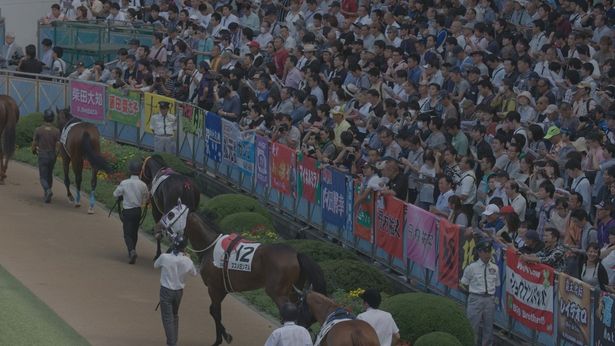 2017年度は2兆7000億円もの馬券の売り上げがあったという