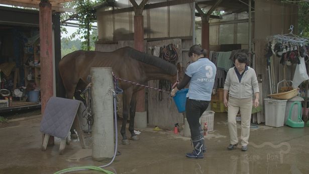 天寿を全うできるのはわずか 引退馬 を待つ過酷な現実と救済への取り組みとは 最新の映画ニュースならmovie Walker Press