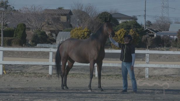 個人で馬を引き取るという人も