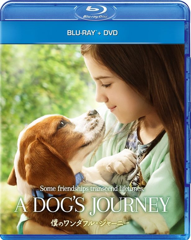 『僕のワンダフル・ジャーニー』Blu-ray+DVD2020年03月04日(水)発売