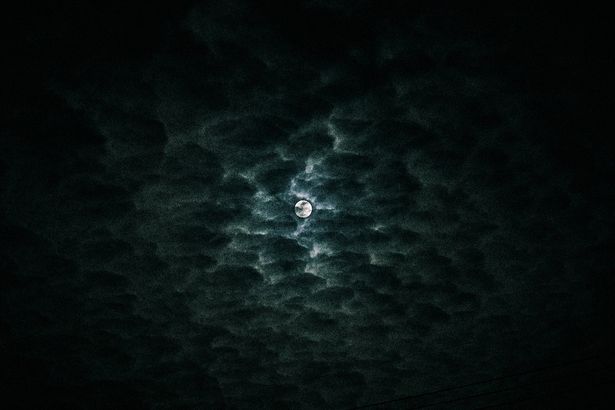 犬鳴峠の月は、不気味に光輝いていた…