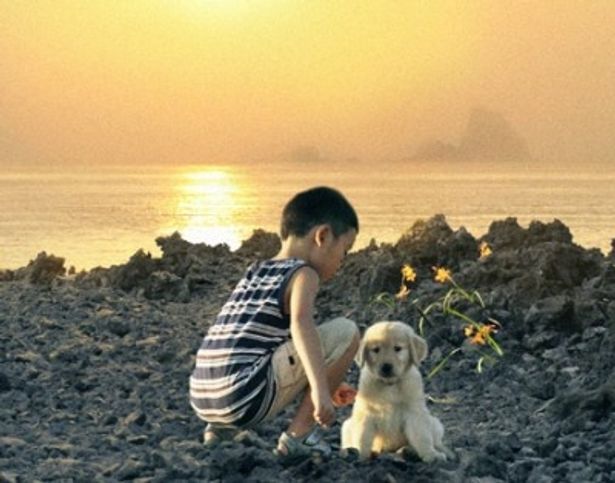 震災で弱った日本に勇気と希望を与えてくれる『ロック わんこの島』は7月23日(土)より全国公開