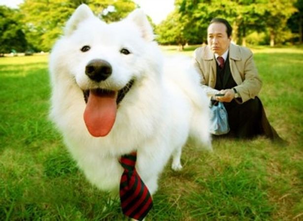 【写真】“犬飼”という名字なのに犬が苦手な主人公をコミカルに演じる小日向文世