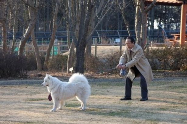 犬嫌いの父を演じた小日向だが、実は大の犬好き