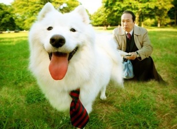 『犬飼さんちの犬』は6月25日(土)より全国順次公開