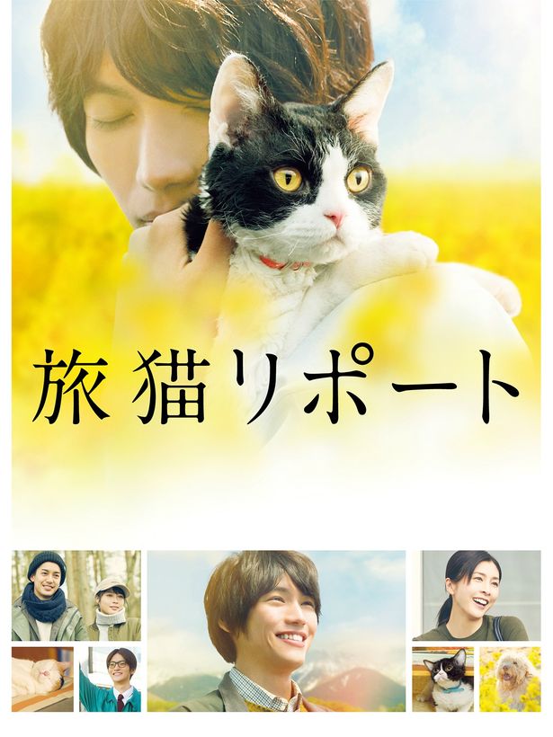 福士蒼汰主演、ネコとの絆を描いた『旅猫リポート』は4月24日(金)配信開始