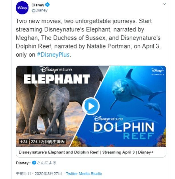 Disney+のドキュメンタリー映画『Elephant』でナレーションを務める