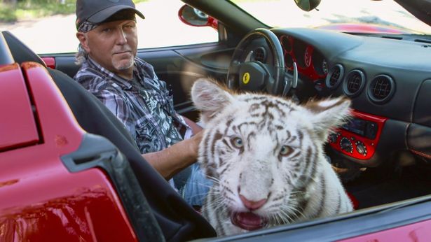 私設動物園の園長が犯した罪を軸にトラの繁殖にまつわる裏の世界を映しだす『タイガーキング：ブリーダーは虎より強者?!』