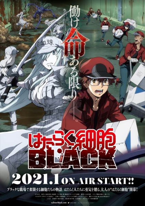 「はたらく細胞BLACK」のテレビアニメ化が2021年1月より放送開始！