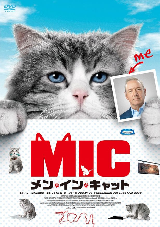 『メン・イン・キャット』DVDは現在発売中