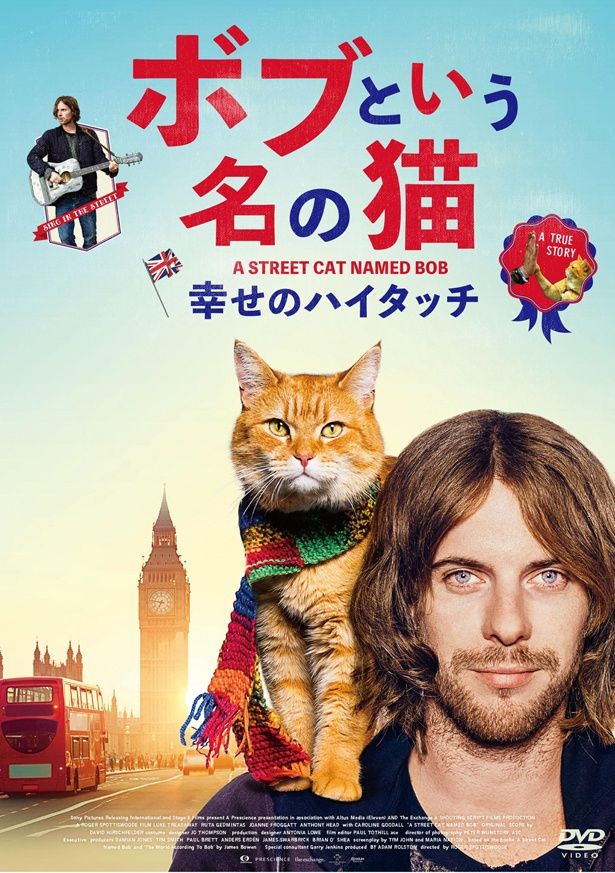 『ボブという名の猫 幸せのハイタッチ』DVDは現在発売中