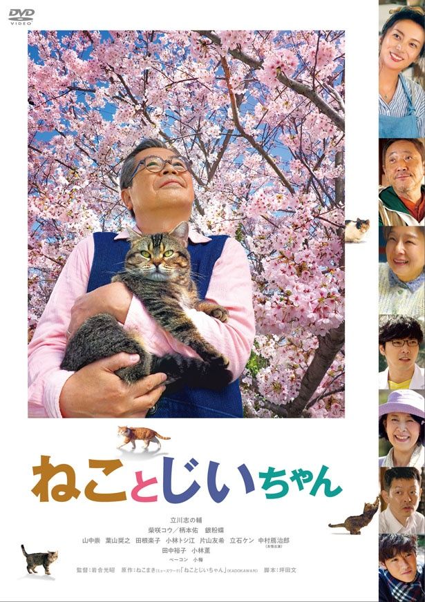 『ねことじいちゃん』DVDは現在発売中