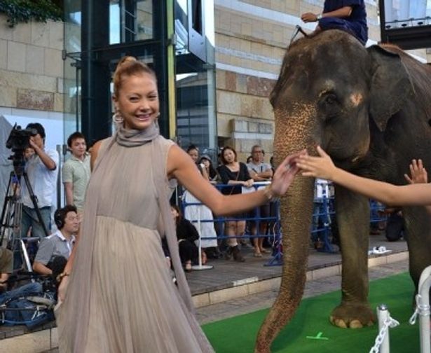 【写真を見る】巨大なゾウの登場に会場も大盛り上がり！