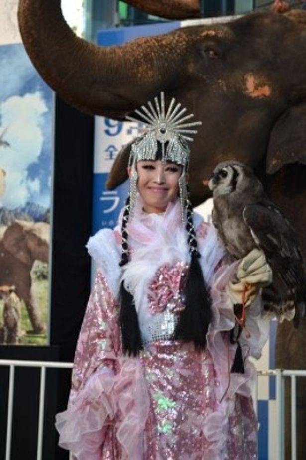 引田天巧は愛鳥のふくろうを連れて登場