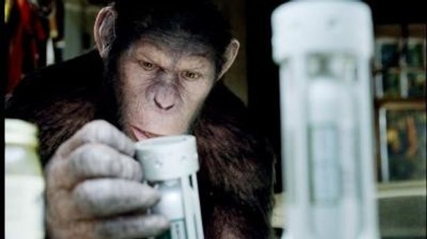人類に反旗を翻すチンパンジーを演じたのは『ロード・オブ・ザ・リング』シリーズのゴラム役で知られるアンディ・サーキス