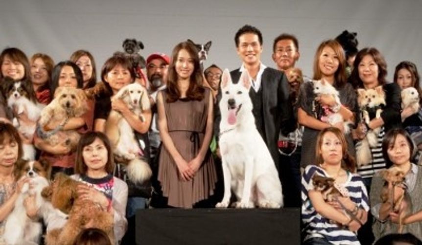 犬同伴試写会を開催！市原隼人「一生に残るイベントになったと思います」