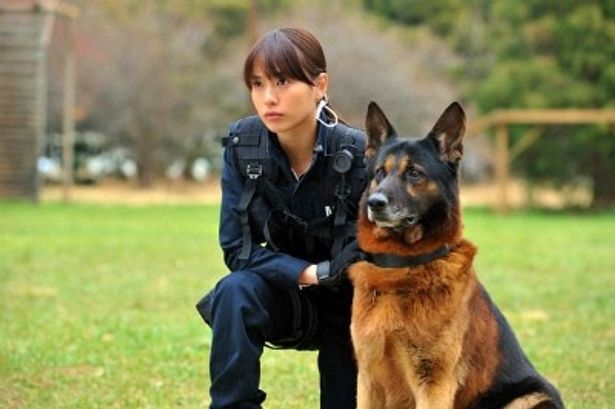 【写真をもっと見る】戸田恵梨香扮する夏希と警備犬ブランドとの共演シーンはこちら