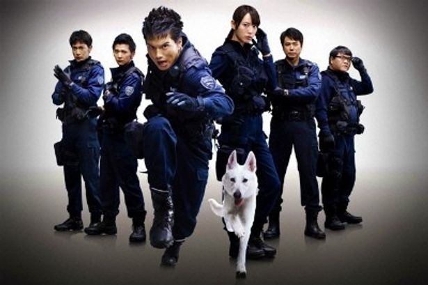警視庁に実在する警備犬と、犬をバディに活躍する警察官の活躍を描く
