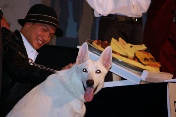 【写真をもっと見る】市原隼人はケーキをほおばる犬を見て満面の笑みを見せた
