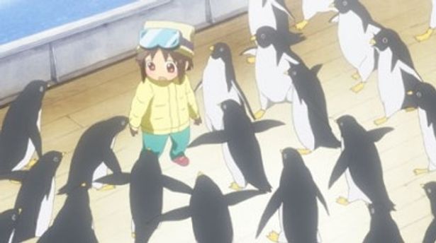 ペンギン研究者の父親のせいでペンギンが苦手になってしまったたまき(「みのりスクランブル！」)