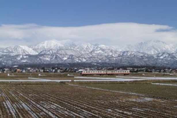 【写真】モハ16010形はかつて西武鉄道で活躍していた特急車両