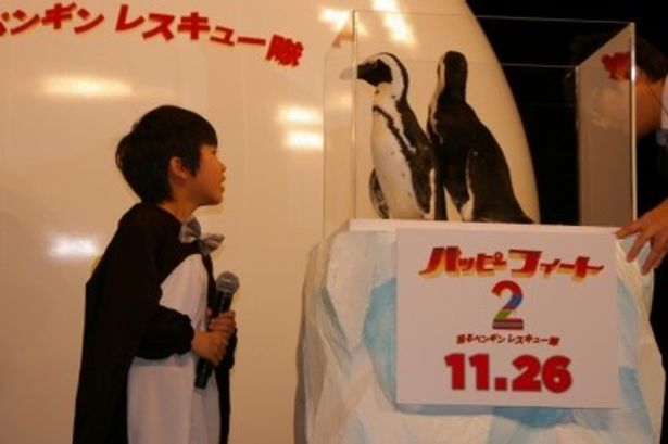 【写真】本物のペンギンに興味津々の鈴木福