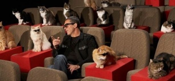 【写真】全米公開前にはネコ限定の3Dキャット・プレミアを実施