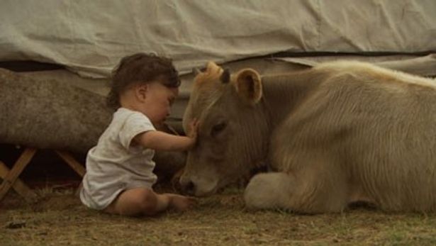 大自然の中で育つモンゴルの赤ちゃん