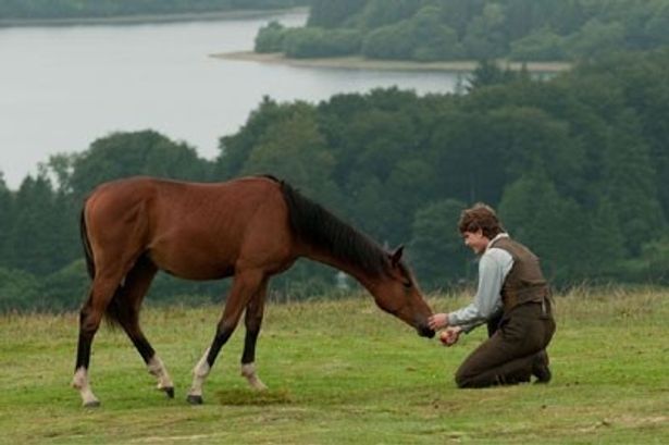 【写真を見る】馬のジョーイとアルバート(ジェレミー・アーヴァイン)の固い絆が描かれている