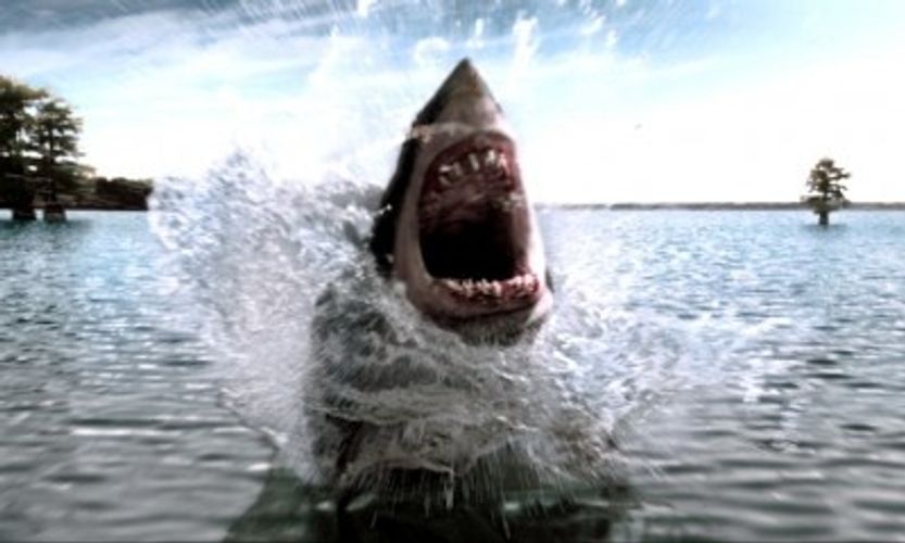 『シャーク・ナイト』巨大アオザメ戦慄の捕食シーンをノーカットで公開！