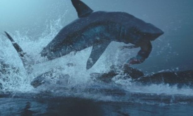 【写真】ネイチャードキュメンタリーでは決して見ることのできない46種類もの人食いサメが殺戮を繰り広げる