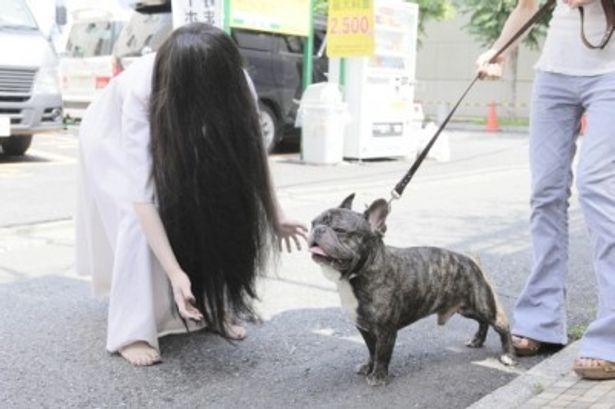 公園で犬とたわむれる貞子！