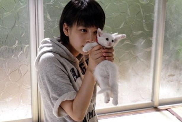 【写真を見る】能年玲奈×猫という、無限大の魅力が詰まったこのカットにめろめろ!?