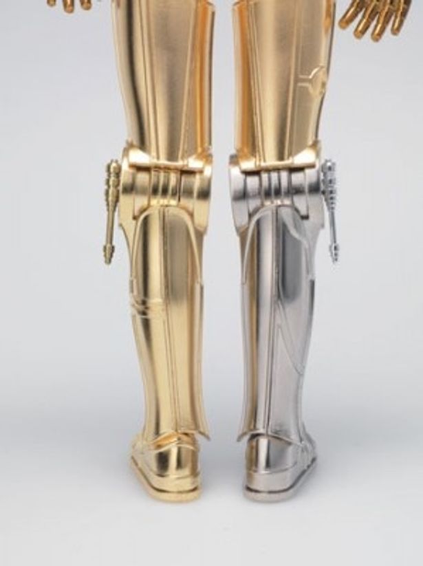 左右の脛の色の違いだけでなく、膝裏のデザインが左右非対称なのは意外と知られていない