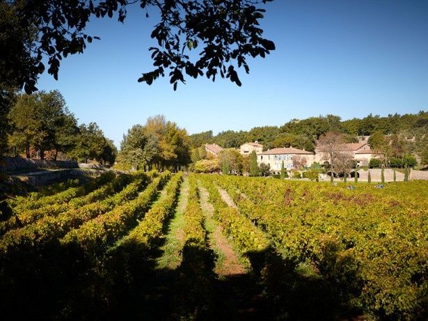 ワインは、ふたりが所有するフランスの古城シャトー・ミラヴァルのぶどう園で収穫されたブドウを使用
