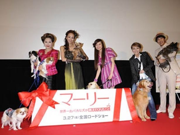 デヴィ夫人 神田うのら愛犬家が愛犬にデレデレ 画像1 2 Movie Walker Press