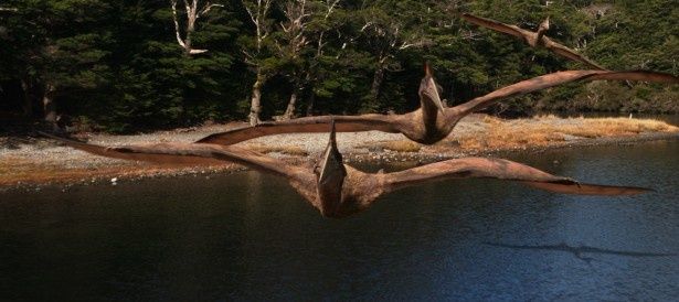 【写真を見る】巨大な翼と鋭いくちばしを持った“空飛ぶ爬虫類”の翼竜。 白亜紀後期に繁栄していた