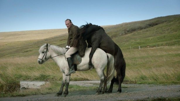 ベネディクト・エルリングソンが最優秀監督賞を受賞した『馬々と人間たち』