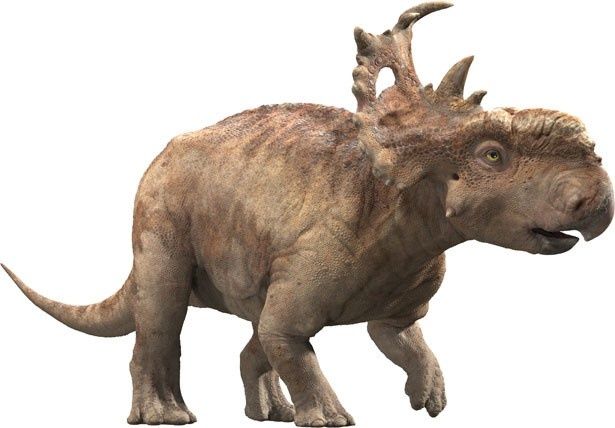 本作の主人公パッチ。角竜のパキリノサウルス
