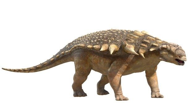 史上最大のよろい竜、アンキロサウルス