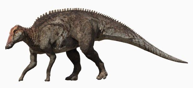 くちばしが特徴的なエドモントサウルス