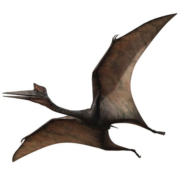 巨大な翼を持った翼竜のプテロサウルス
