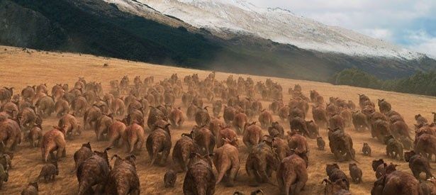 群れで大移動することも研究で判明