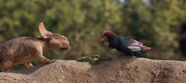 パッチと共に旅をするのは鳥のアレックス